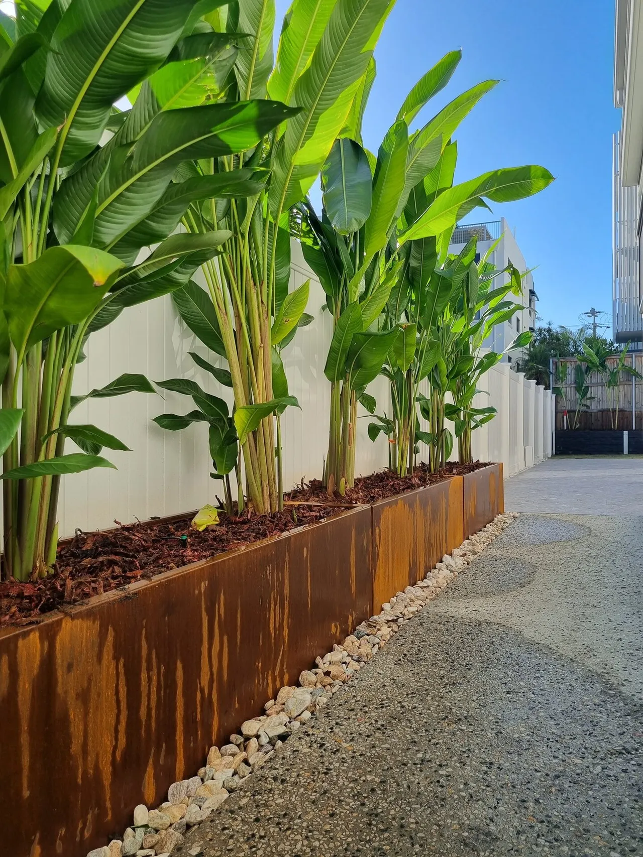 Beautifully landscaped garden, Sunshine Coast